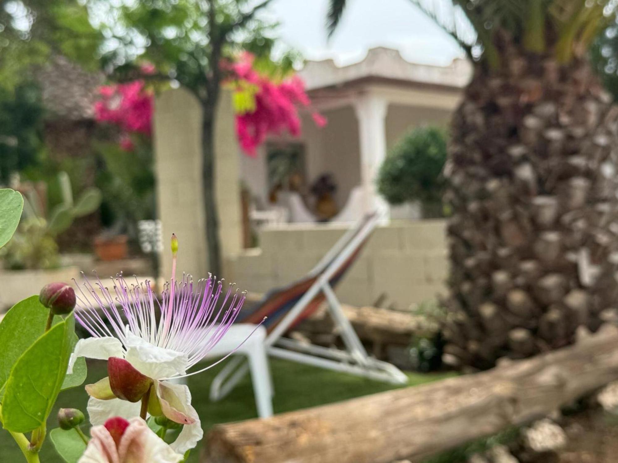 Villa Torretta - Mare Salento Marina di Lizzano Εξωτερικό φωτογραφία
