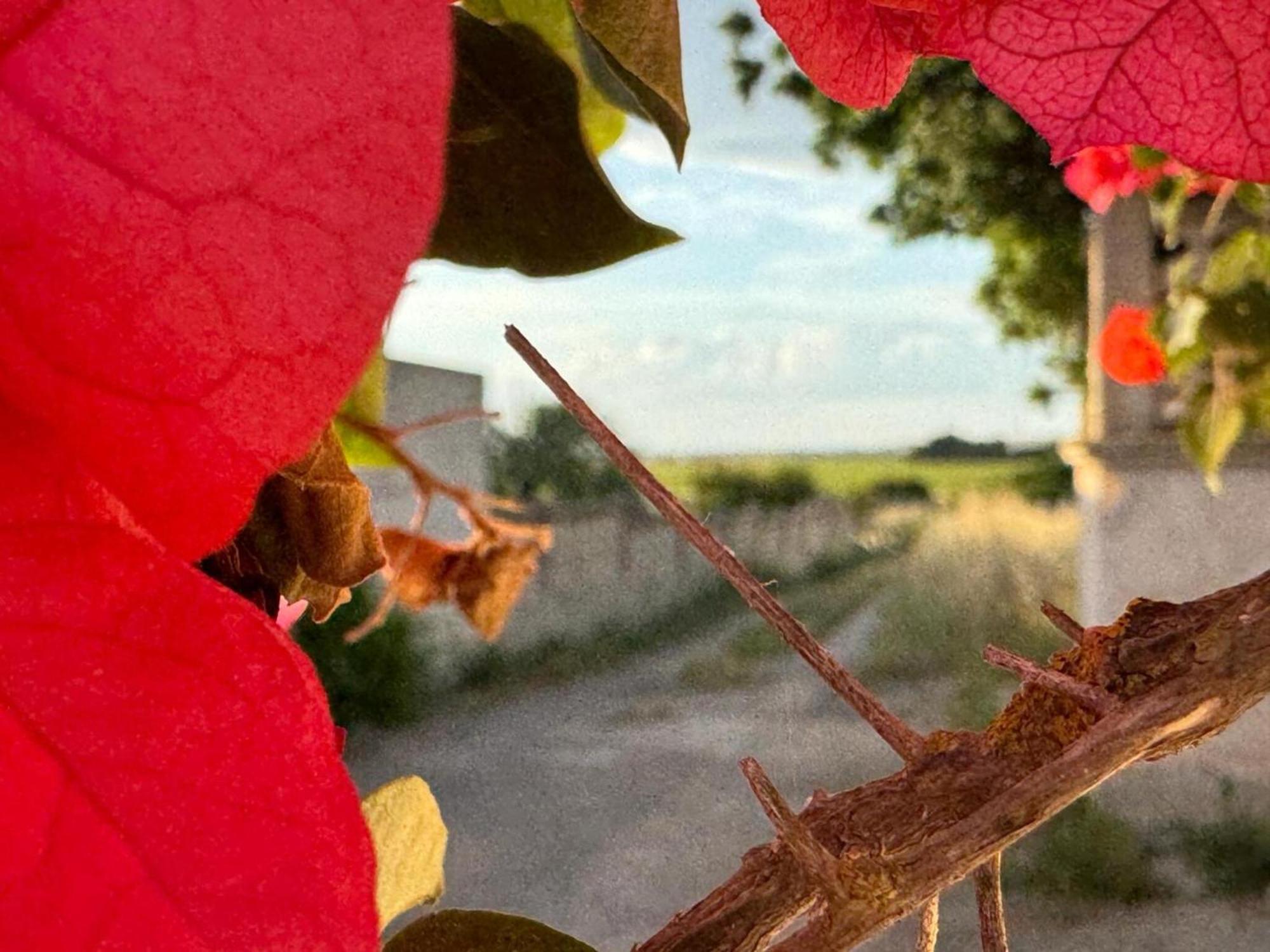 Villa Torretta - Mare Salento Marina di Lizzano Εξωτερικό φωτογραφία