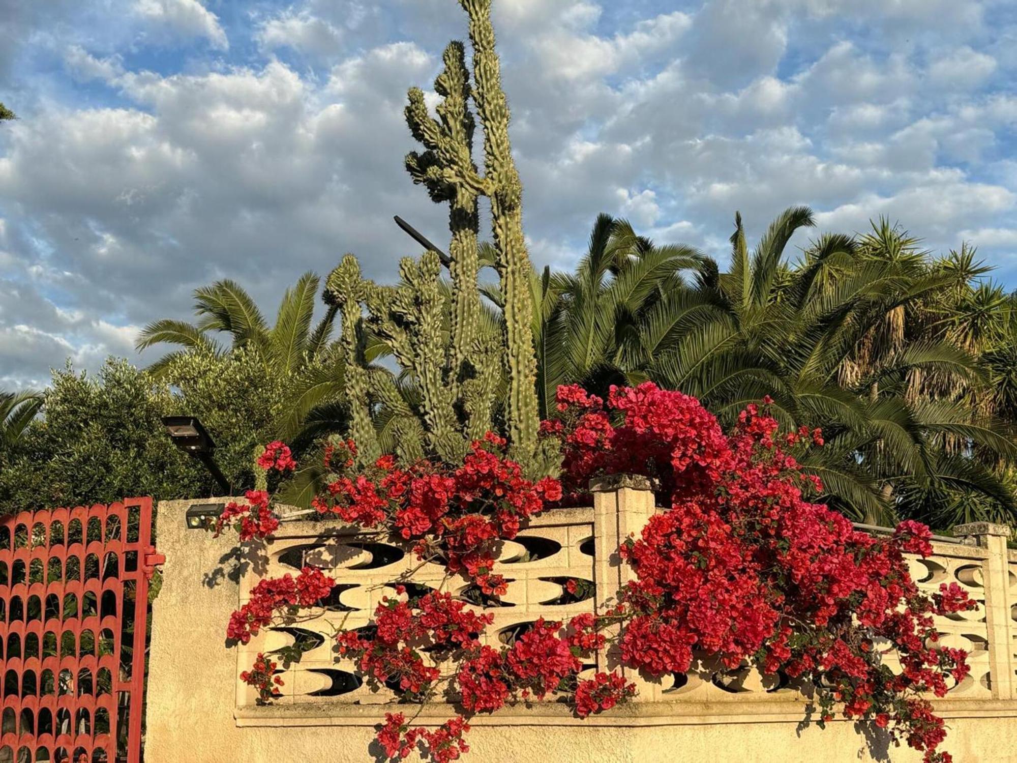 Villa Torretta - Mare Salento Marina di Lizzano Εξωτερικό φωτογραφία