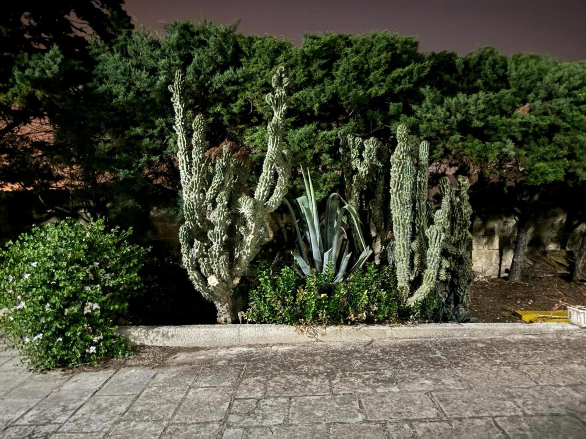 Villa Torretta - Mare Salento Marina di Lizzano Εξωτερικό φωτογραφία