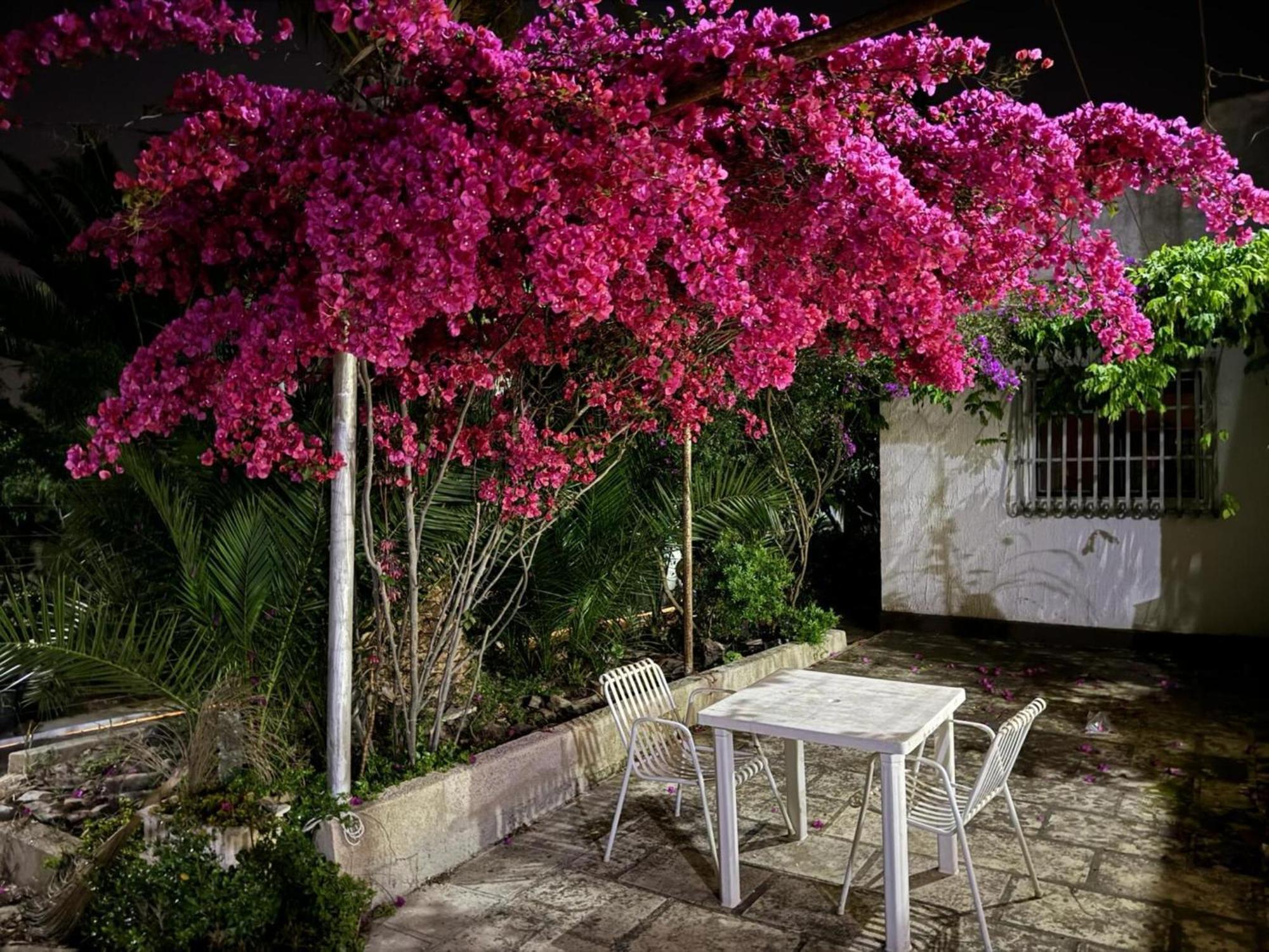 Villa Torretta - Mare Salento Marina di Lizzano Εξωτερικό φωτογραφία