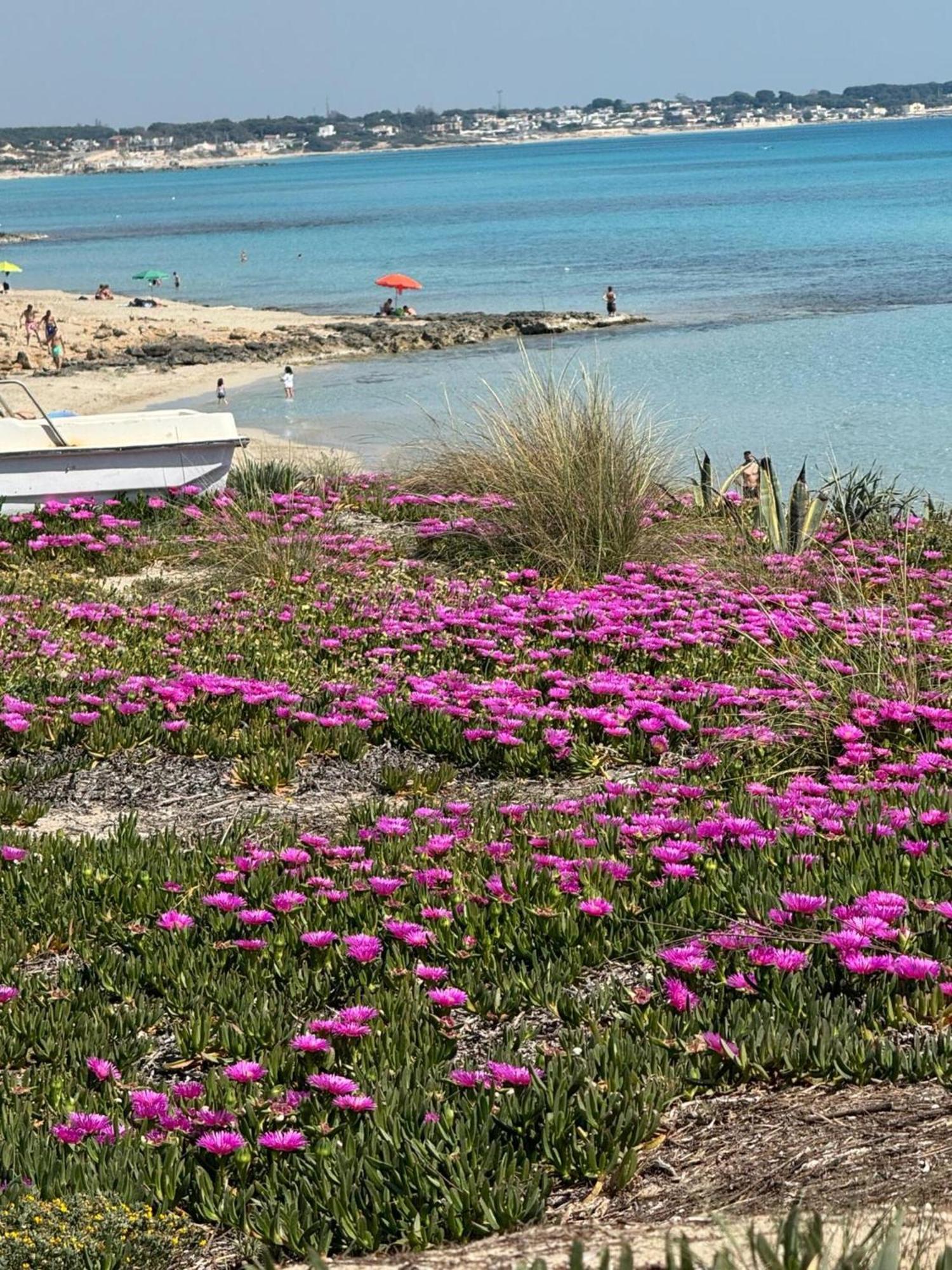 Villa Torretta - Mare Salento Marina di Lizzano Εξωτερικό φωτογραφία